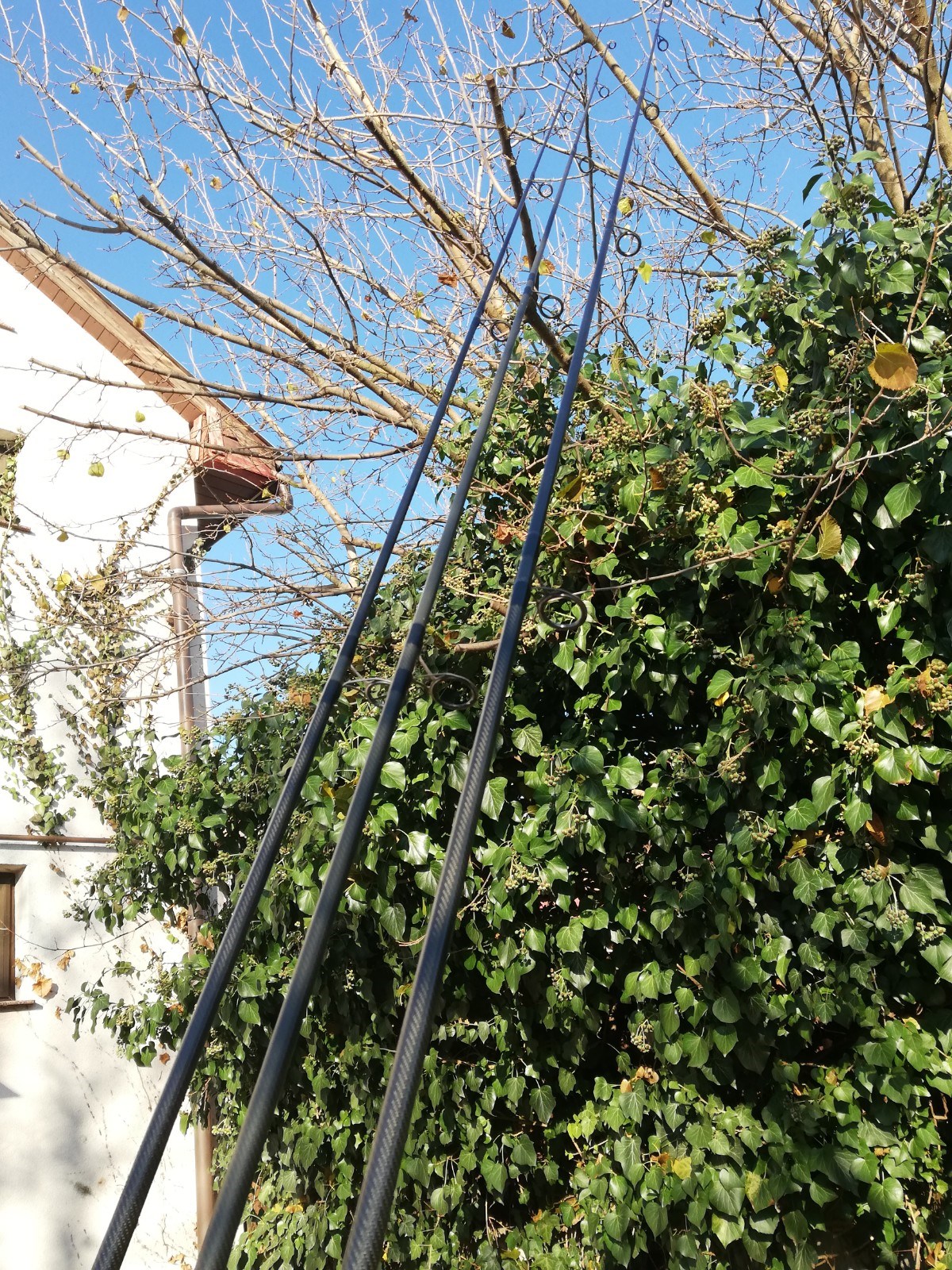 ;ansete century ncs Bruce Ashby 3.9 m - IMG20201201103518.jpg